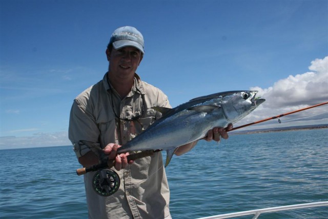 Longtail on fly
